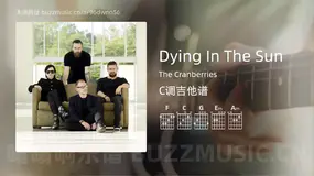 Dying In The Sun The Cranberries 吉他谱C调简单版