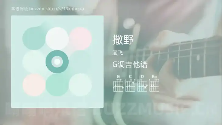 撒野 顾飞 吉他谱G调简单版