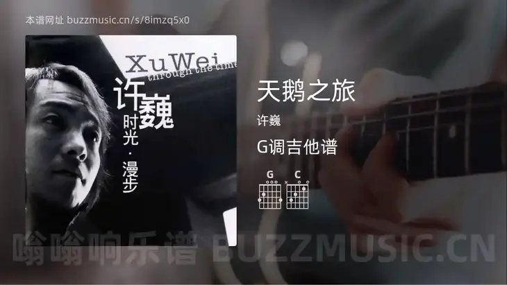 天鹅之旅吉他谱G调 许巍 简单版