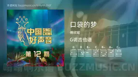 口袋的梦 傅欣瑶 吉他谱G调简单版