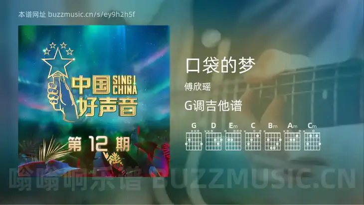 口袋的梦 傅欣瑶 吉他谱G调简单版