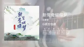 新鸳鸯蝴蝶梦 左傲雪 吉他谱G调简单版