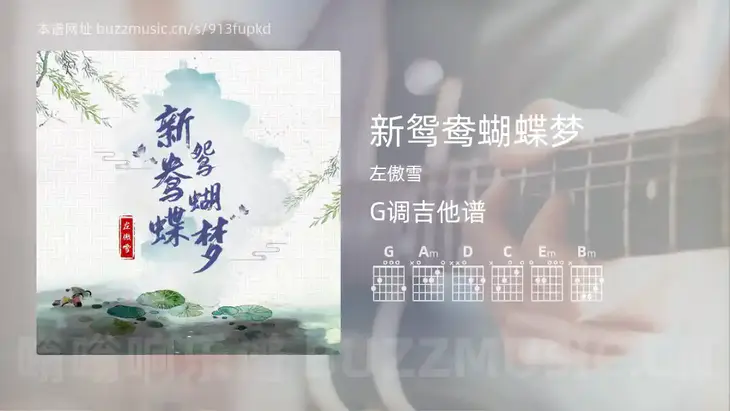 新鸳鸯蝴蝶梦 左傲雪 吉他谱G调简单版