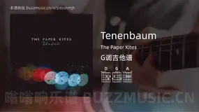 Tenenbaum吉他谱G调 The Paper Kites 简单版