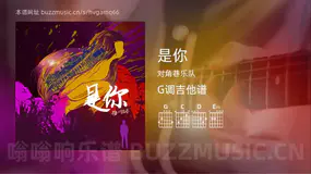 是你 对角巷乐队 吉他谱G调简单版