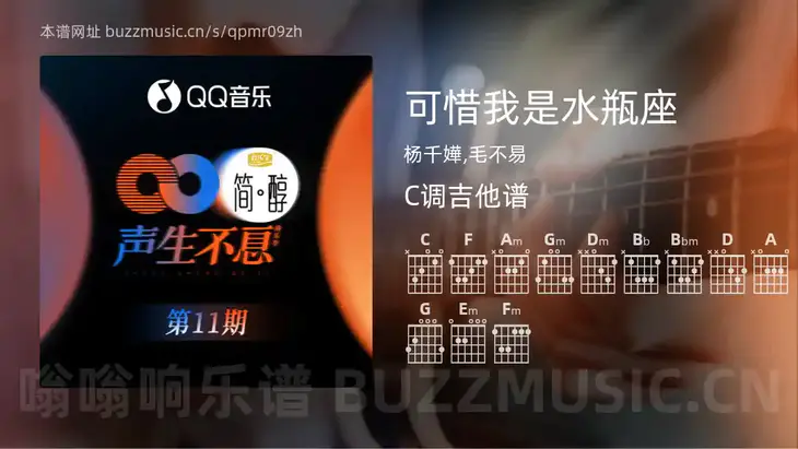 可惜我是水瓶座吉他谱C调 杨千嬅,毛不易 简单版