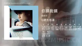 你瞒我瞒 陈柏宇 吉他谱G调简单版