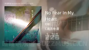 No Fear In My Heart 朴树 吉他谱C调简单版