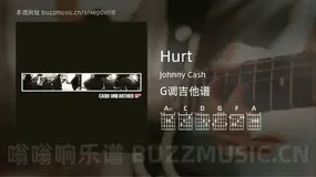 Hurt Johnny Cash 吉他谱G调简单版