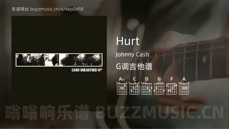 Hurt Johnny Cash 吉他谱G调简单版