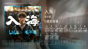 入海 毛不易 吉他谱C调简单版