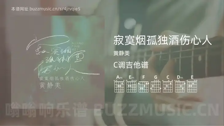 寂寞烟孤独酒伤心人 黄静美 吉他谱C调简单版
