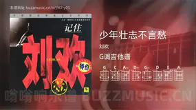 少年壮志不言愁 刘欢 吉他谱G调简单版