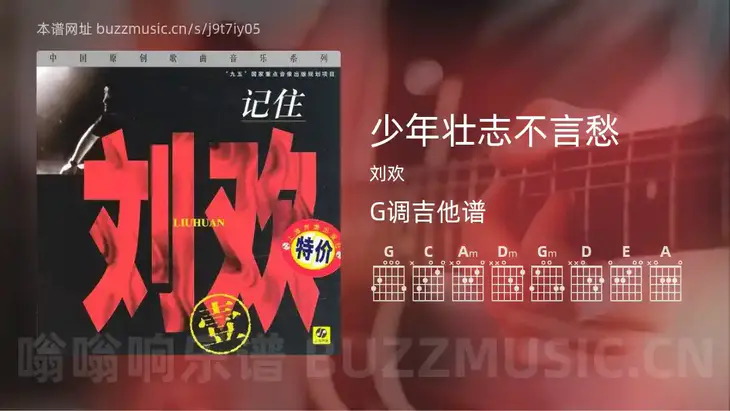 少年壮志不言愁 刘欢 吉他谱G调简单版
