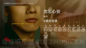 勿忘心安 张杰 吉他谱G调简单版
