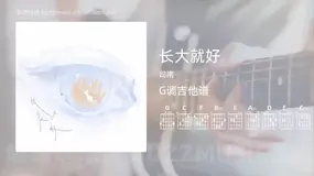 长大就好 司南 吉他谱G调简单版
