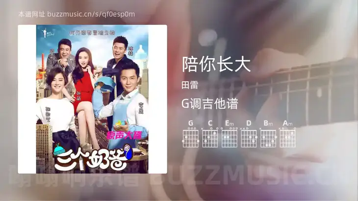 陪你长大 田雷 吉他谱G调简单版