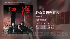 野百合也有春天 江湖乐队 吉他谱G调简单版