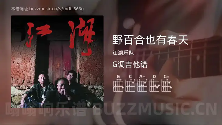 野百合也有春天 江湖乐队 吉他谱G调简单版