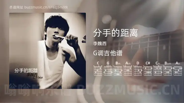 分手的距离 李魏西 吉他谱G调简单版