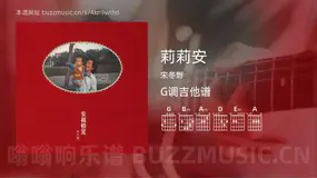 莉莉安 宋冬野 吉他谱G调简单版