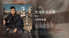 生活就是折腾 拿哥 吉他谱G调简单版