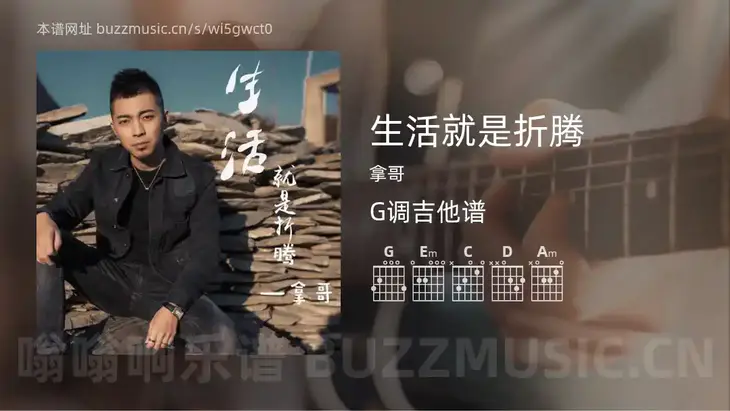 生活就是折腾 拿哥 吉他谱G调简单版