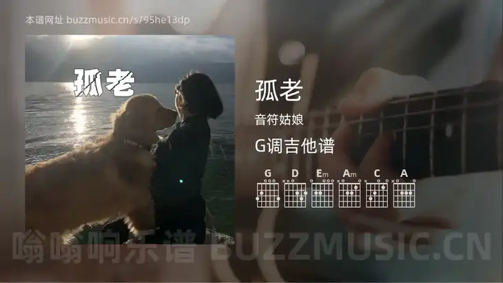 孤老 音符姑娘 吉他谱G调简单版