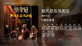 阳光总在风雨后 痛仰乐队 吉他谱C调简单版