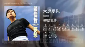 太想爱你 张信哲 吉他谱G调简单版