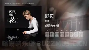 野花吉他谱G调 荆纯 简单版