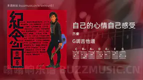自己的心情自己感受 齐秦 吉他谱G调简单版