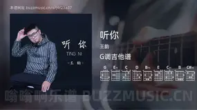 听你 王韵 吉他谱G调简单版