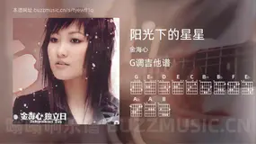 阳光下的星星 金海心 吉他谱G调简单版