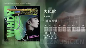 大风吹 王赫野 吉他谱G调简单版