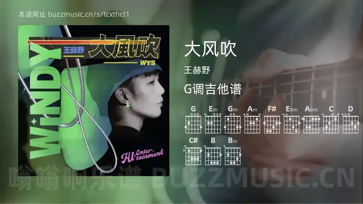 大风吹 王赫野 吉他谱G调简单版