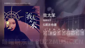 我太笨 锤娜丽莎 吉他谱G调简单版
