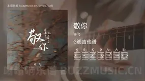 敬你 许飞 吉他谱G调简单版