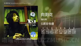 向阳花 谢天笑 吉他谱G调简单版