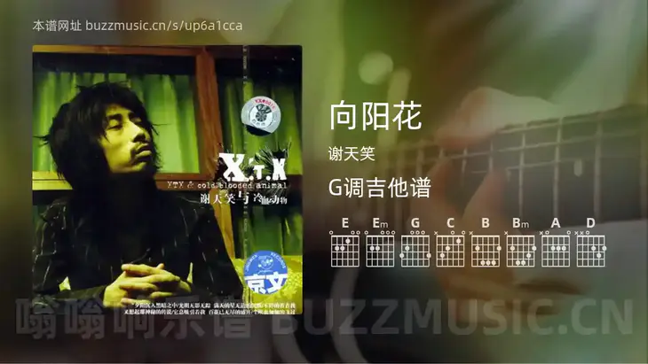 向阳花 谢天笑 吉他谱G调简单版