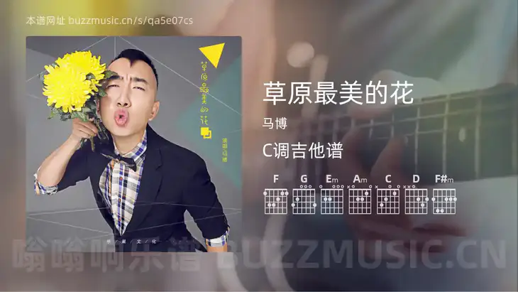 草原最美的花 马博 吉他谱C调简单版