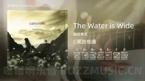 The Water is Wide 藤田恵美 吉他谱C调简单版