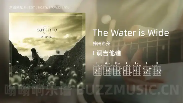 The Water is Wide 藤田恵美 吉他谱C调简单版