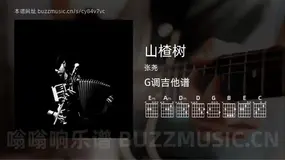 山楂树 张尧 吉他谱G调简单版