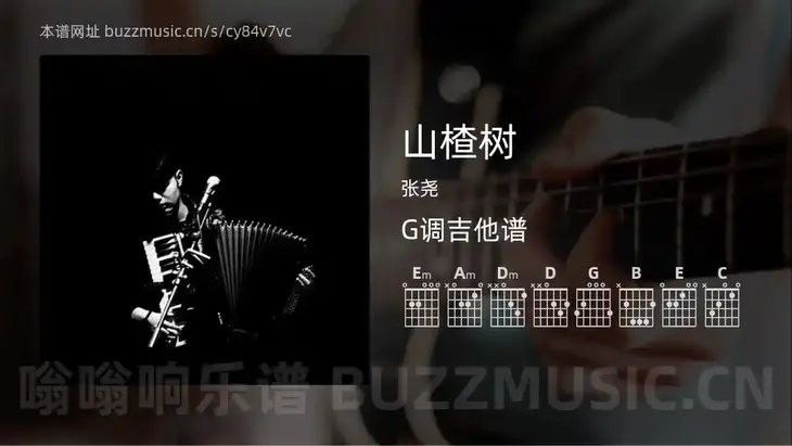 山楂树 张尧 吉他谱G调简单版