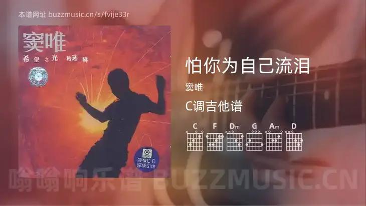怕你为自己流泪 窦唯 吉他谱C调简单版