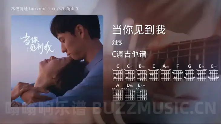 当你见到我 刘恋 吉他谱C调简单版