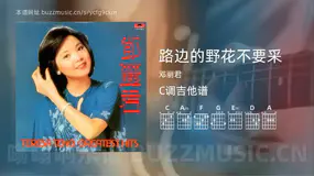 路边的野花不要采 邓丽君 吉他谱C调简单版