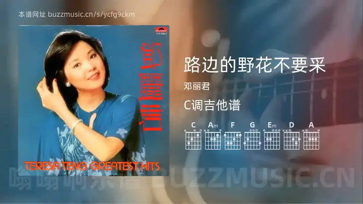 路边的野花不要采 邓丽君 吉他谱C调简单版