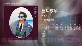 蔓珠莎华 梅艳芳 吉他谱G调简单版